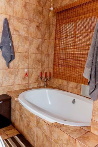 Hostal Silver Swan Accommodation