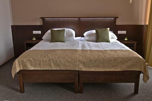 Hostal Penzion Baltaci - Star� Z�mek