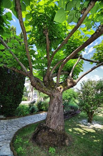 Bed & Breakfast Maison D'h�tes La Villa Corisande