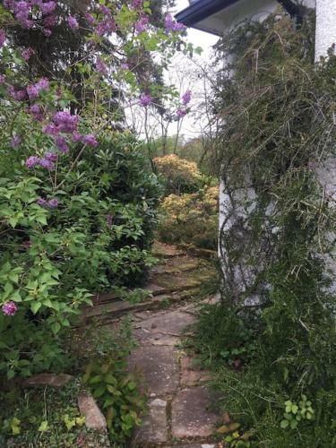 Holly Cottage. Romantic Getaway. Tourist Base.