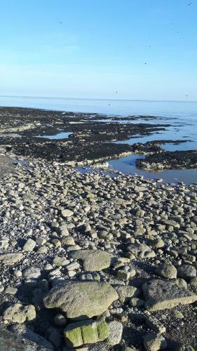 Combe Haven Harley Mead