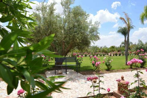 Hostal Paix & Palmiers