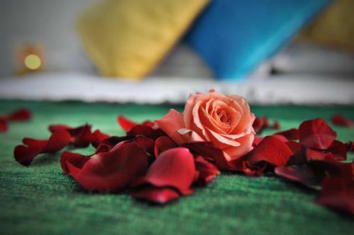 Bed & Breakfast Riad Dar Nossa