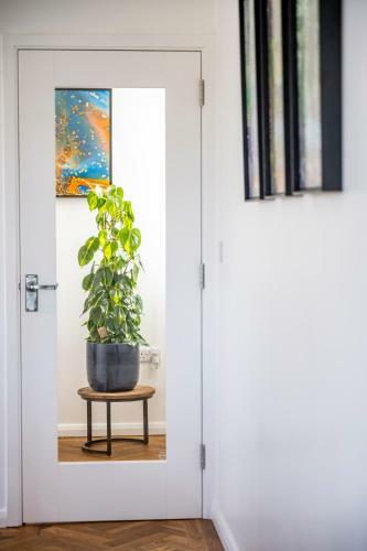 Apartamento High House Retreat