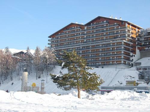 Apartment Christiania XII Nendaz Station