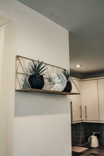 Apartments-dealhouse