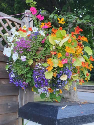 The Little Garden Hoose