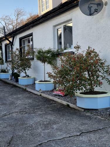 The Little Garden Hoose