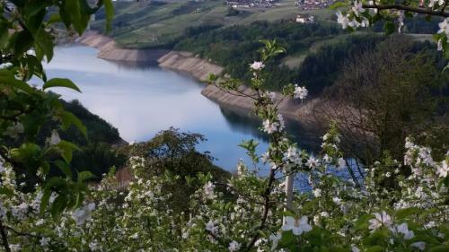 Bed & Breakfast Agritur Vista Lago
