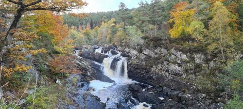 Pinewood Cottage Apartment & B&B Inverness