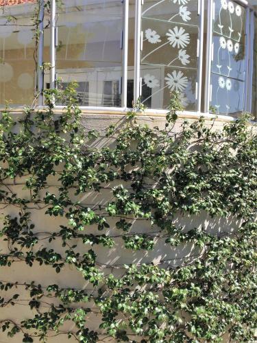 Apartamento Parkhurst Villa