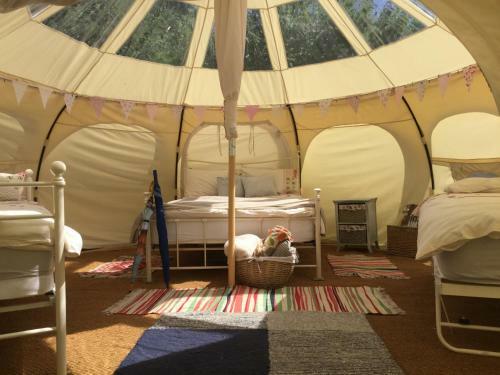 Horsemans Stargazing Tent