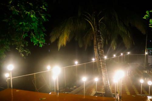 Tiger Camp Jungle Homestay