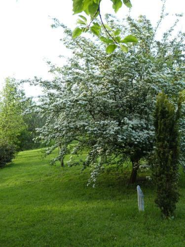 Bed & Breakfast Chambre D'h�tes "lumi�re Et Qui�tude"