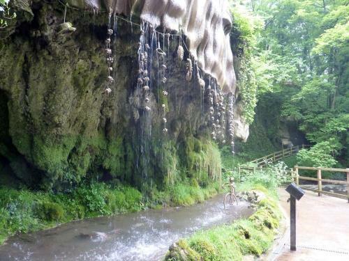 Apartamento Nidd Way Holiday Let