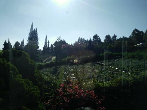 Villa Bougenvile Lembang Asri