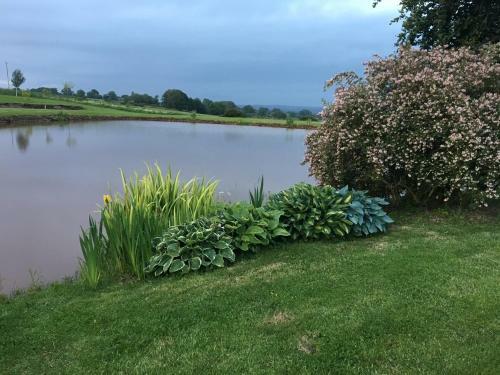 Bed & Breakfast Winsley Park Farm
