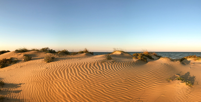 Oliva Nova Golf Beach & Golf Hotel