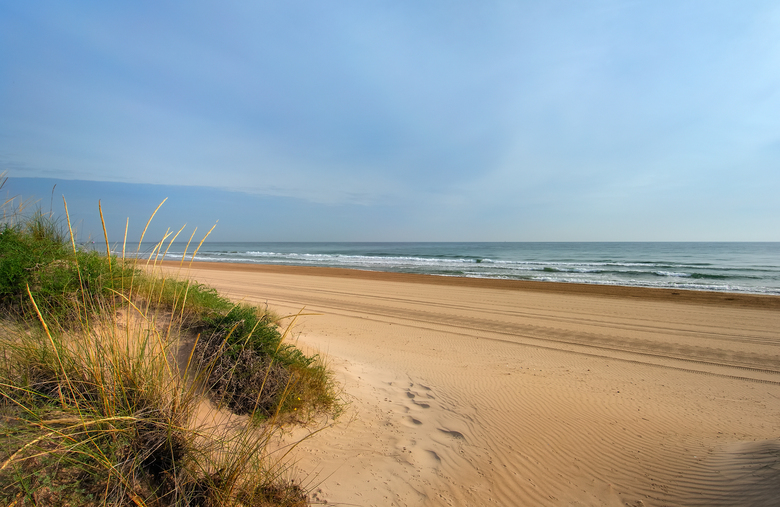Oliva Nova Golf Beach & Golf Hotel