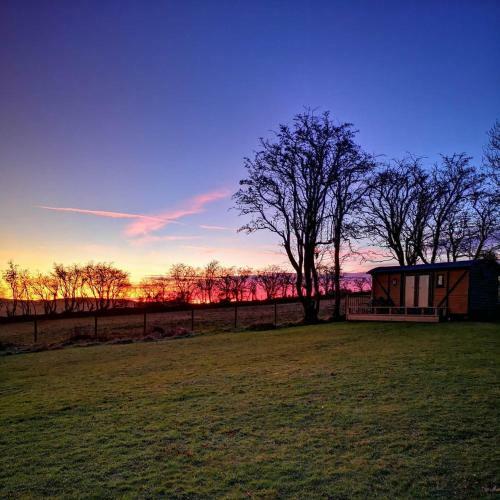 Pen-rhos Luxury Glamping "the Hare Hut"