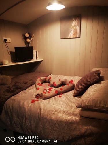 Pen-rhos Luxury Glamping "the Hare Hut"