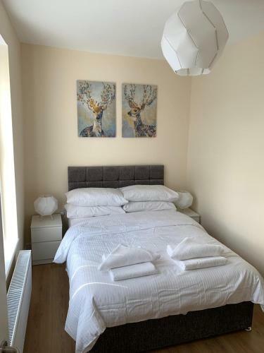 Hotel Smeaton Street Accommodation