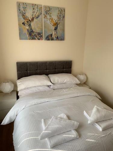 Hotel Smeaton Street Accommodation