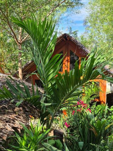 Lodge Saho Coffee & Rooms