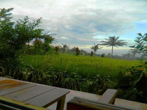 Hotel Kampoeng Tourist Homestay