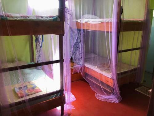Albergue Tropi Turtle Guesthouse