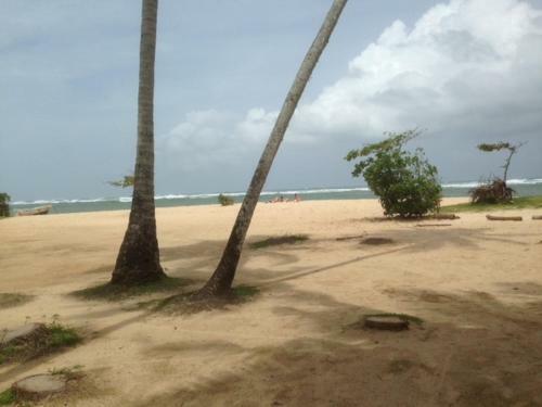 Albergue Tropi Turtle Guesthouse