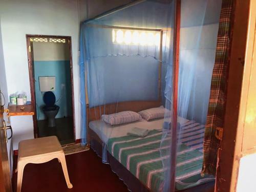 Albergue Tropi Turtle Guesthouse