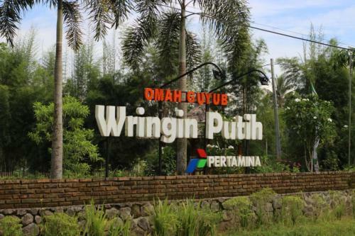 Hostal Balkondes Wringinputih