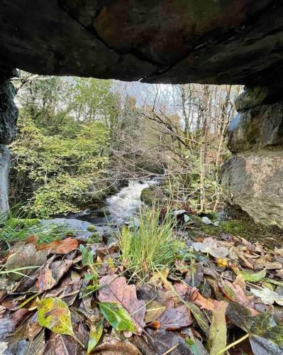 Bimble Cottage. The Cosy Snowdonia Hideaway