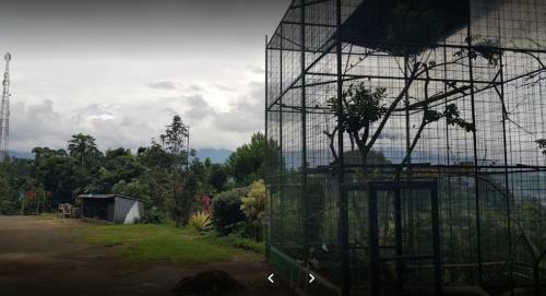 Villa Komala At Macarena, Megamendung