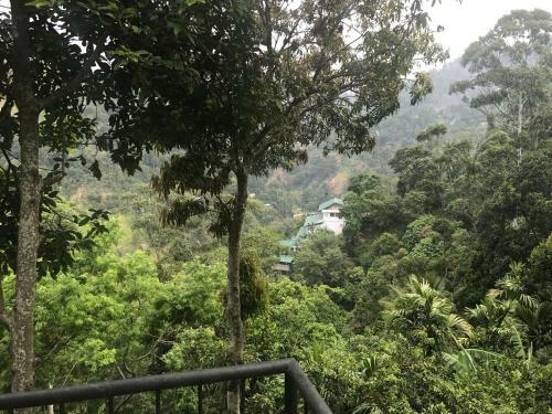 Bed & Breakfast Raveena Guest House