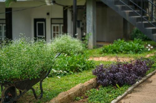 Hostal Ella Forest Paradise Hotel