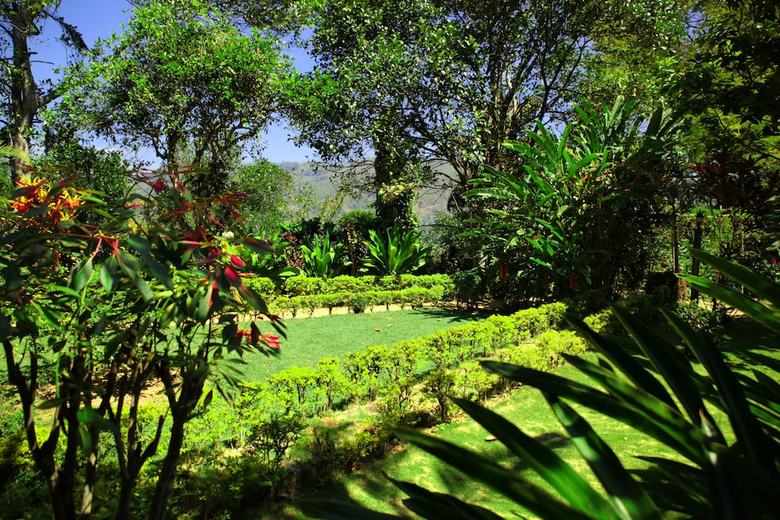 Bed & Breakfast Sunnyside Holiday Bungalow