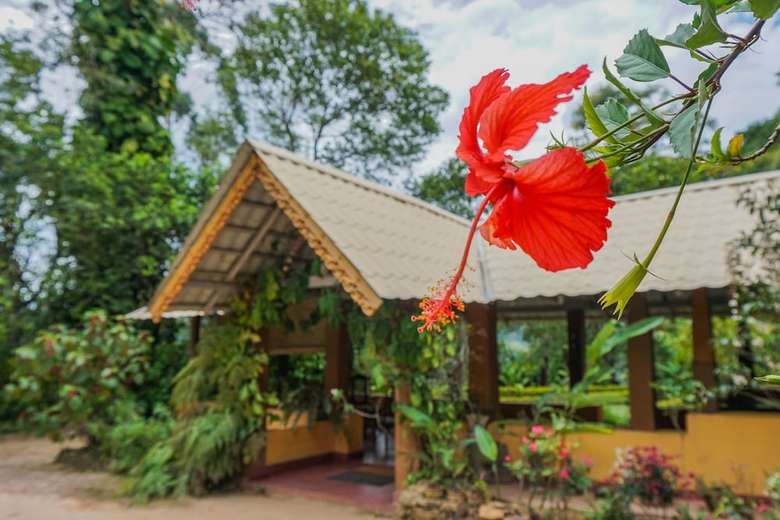Bed & Breakfast Sunnyside Holiday Bungalow