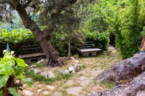 Bed & Breakfast La Dimora Antica