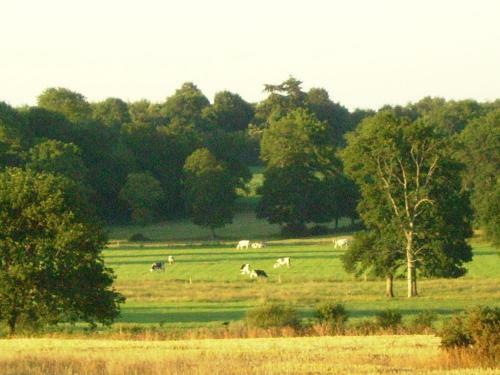 Holiday Home Les Volets Bleus Baguermorvan