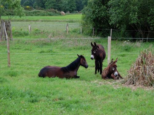 Holiday Home Les Volets Bleus Baguermorvan