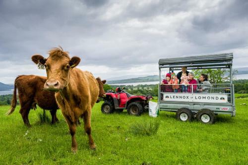 Bonnie Barns - Luxury Glamping With Hot Tubs
