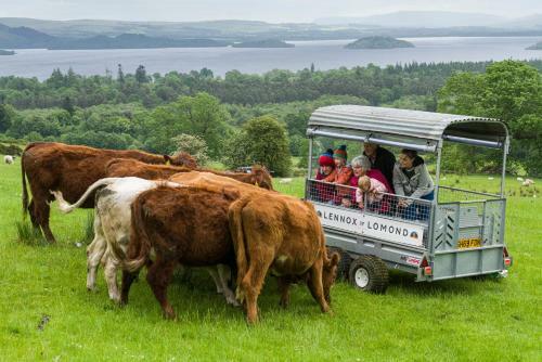 Bonnie Barns - Luxury Glamping With Hot Tubs