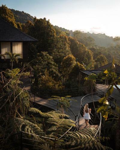Hotel Munduk Cabins