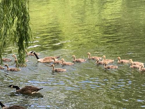 Apartamento The Studio Maidenhead Riverside