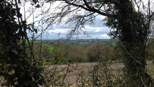 Bed & Breakfast Au Jardin Des Violettes