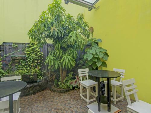 Hotel Oyo 90615 Jojo Homestay