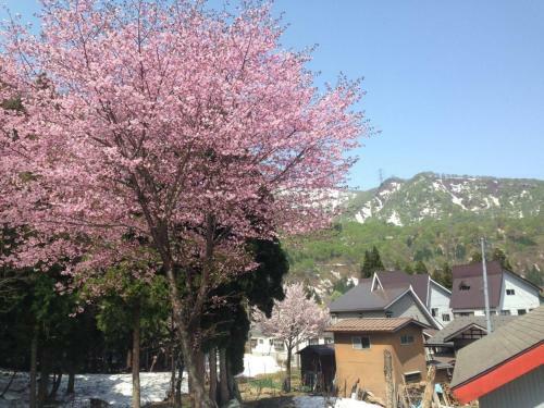 Arimaya - Vacation Stay 14255v