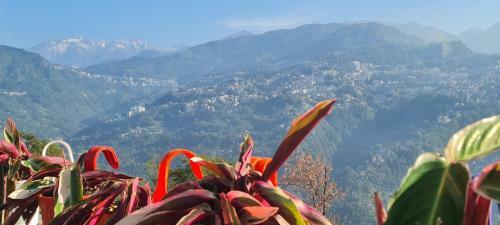 Bed & Breakfast Panoramic Mega Homestay Ranka Gangtok